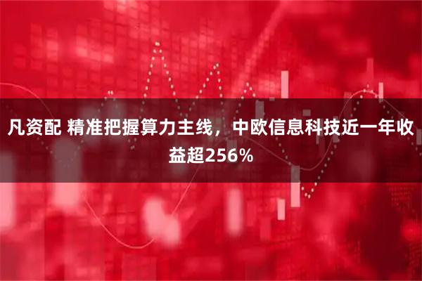 凡资配 精准把握算力主线，中欧信息科技近一年收益超256%